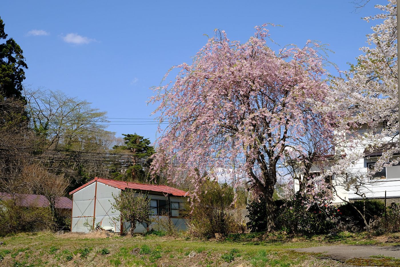 b0212342_16431323.jpg