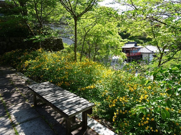 b0299042_19560172.jpg