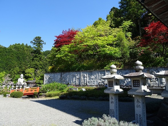 壷阪寺の山吹_b0299042_19563363.jpg