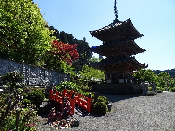 壷阪寺の山吹_b0299042_19563820.jpg