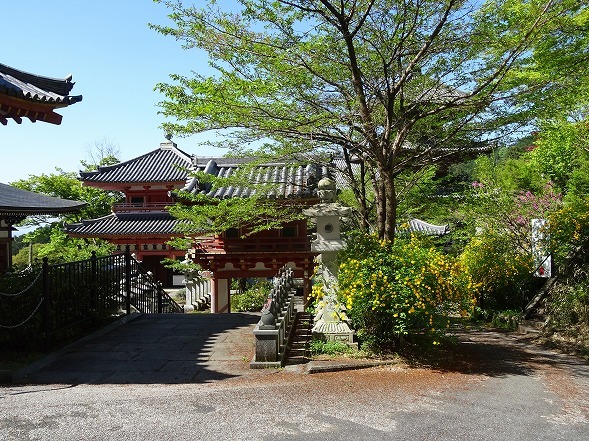 壷阪寺の山吹_b0299042_19565487.jpg