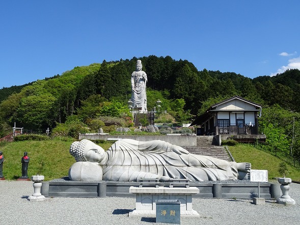 壷阪寺の山吹_b0299042_19565998.jpg