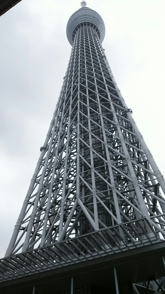 私の数学実力Upの方法 (2)_b0368745_21045558.jpg