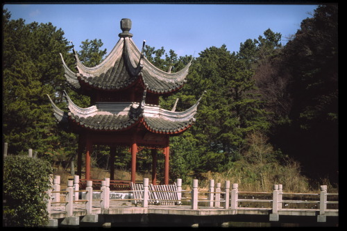 d0353447_22401172.jpg