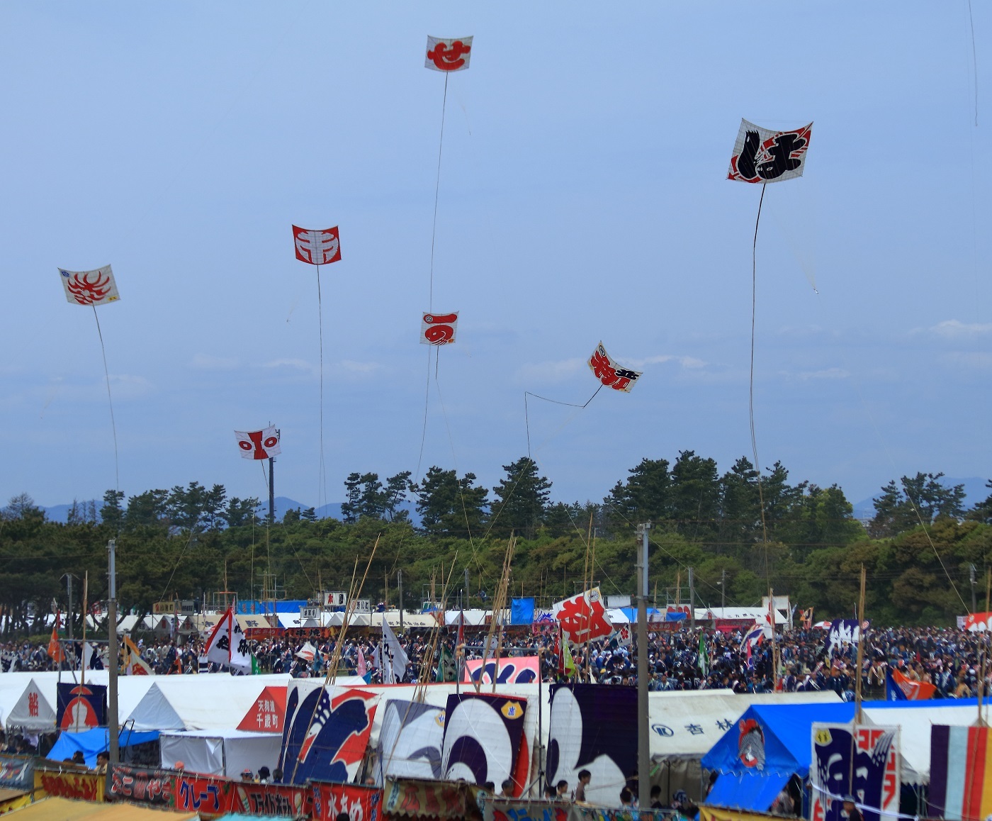 浜松祭り　凧揚げ会場へ_c0294553_21333406.jpg