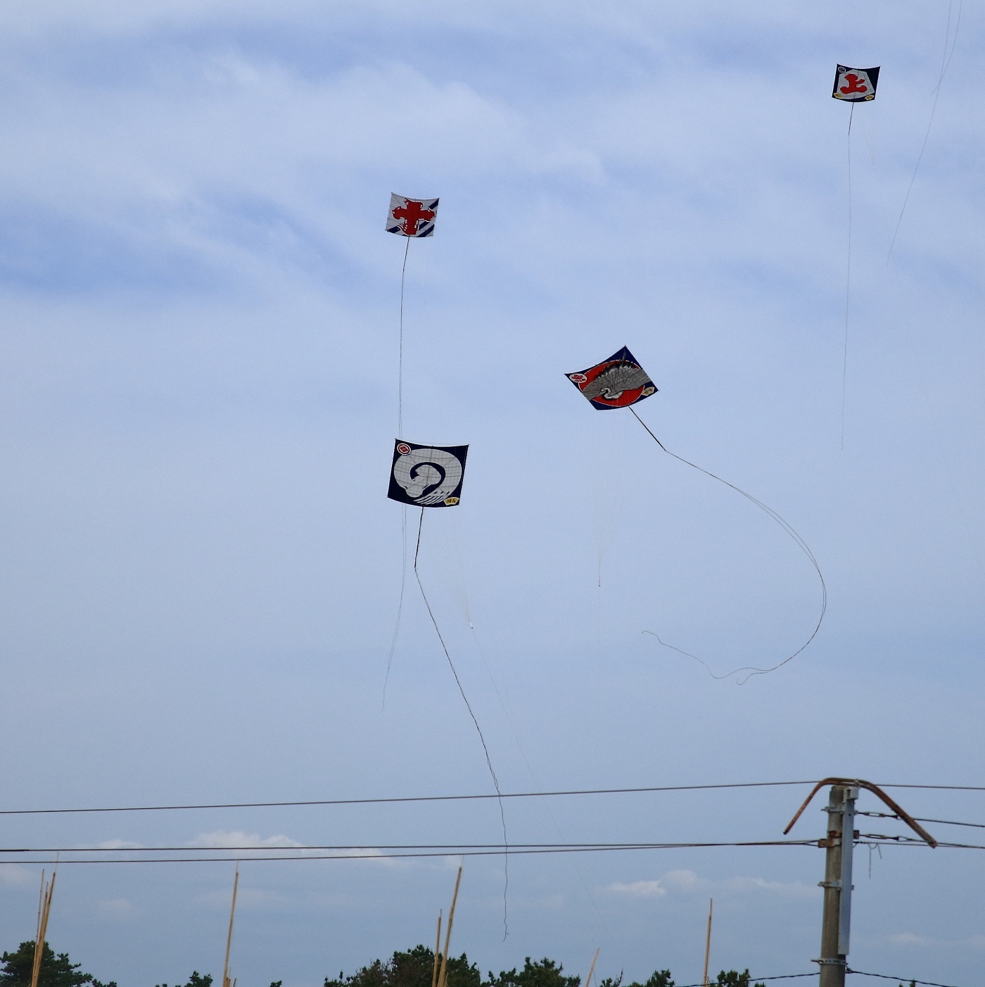 浜松祭り　凧揚げ会場へ_c0294553_21401337.jpg