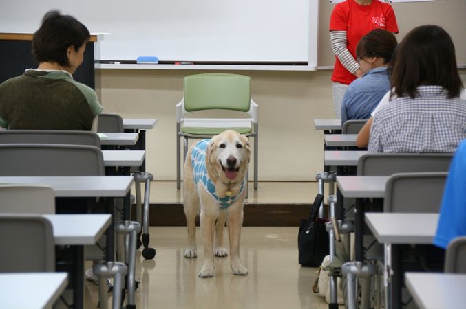 関西女子短期大学アニマルセラピー講座_e0364854_13563277.jpg