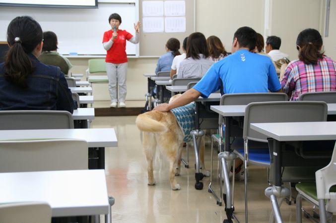 関西女子短期大学アニマルセラピー講座_e0364854_14104774.jpg