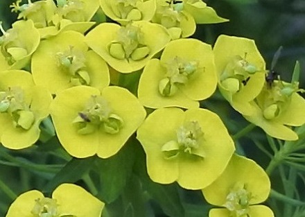 a0346455_16513181.jpg