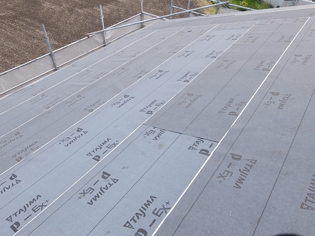 c0247768_8103029.jpg