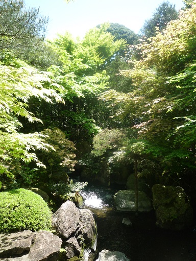 c0273271_15591970.jpg