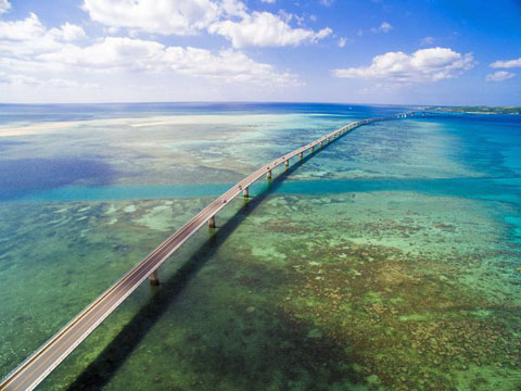 f0083977_10125248.jpg