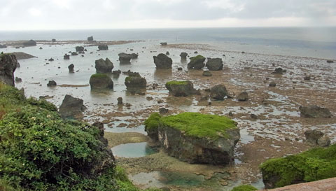 f0083977_1064714.jpg