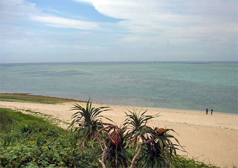 f0083977_1233262.jpg