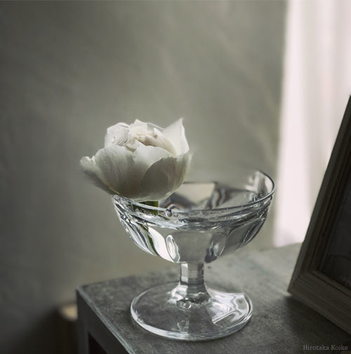 La rose blanche Salon de Bijoux Redouté “ルドゥテ”