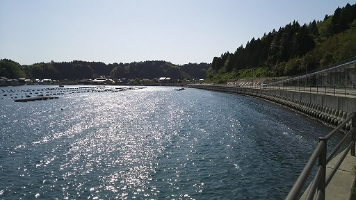 e0020682_20142517.jpg