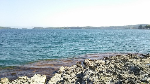 e0020682_20283977.jpg