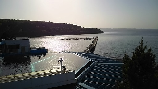 e0020682_2112444.jpg