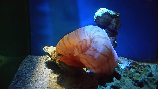 e0020682_2115123.jpg