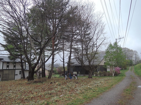 小淵沢の土地より 2_a0211886_21545230.jpg