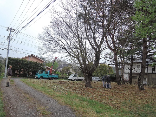 小淵沢の土地より 2_a0211886_22114885.jpg