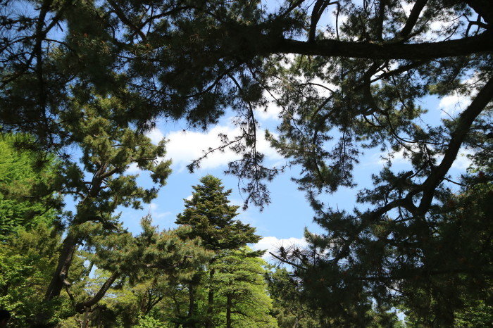 f0274387_22285477.jpg