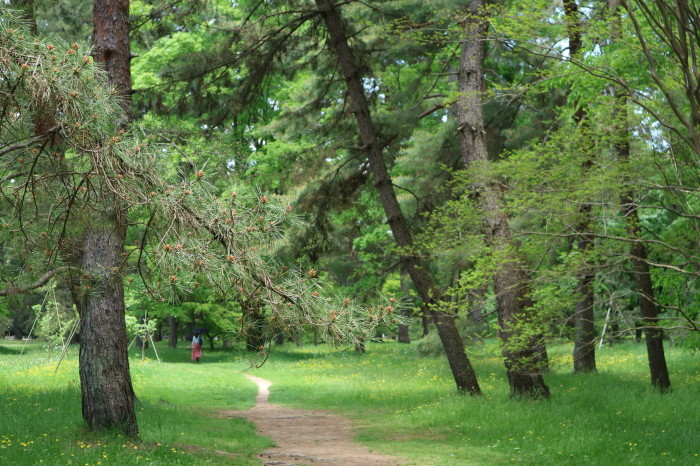 f0274387_22300825.jpg