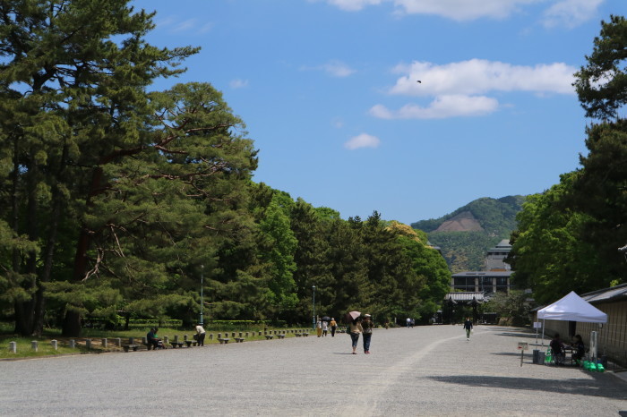 f0274387_22304303.jpg