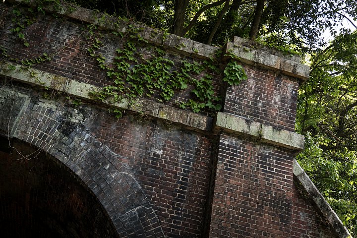 d0353489_20265558.jpg