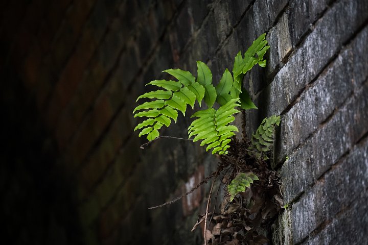 d0353489_20441861.jpg
