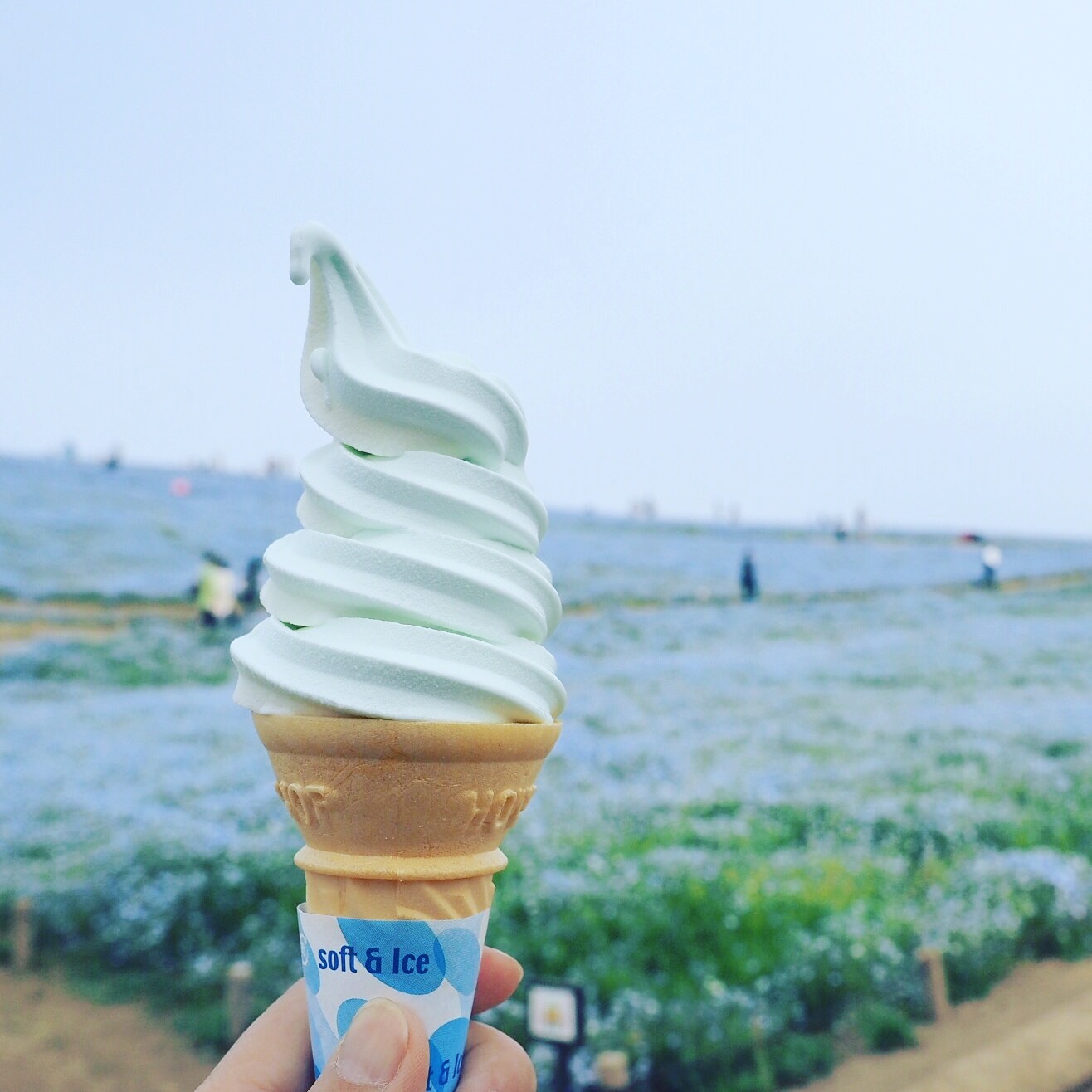 【青】国営ひたち海浜公園、ネモフィラの丘にて。_e0354593_16213583.jpg