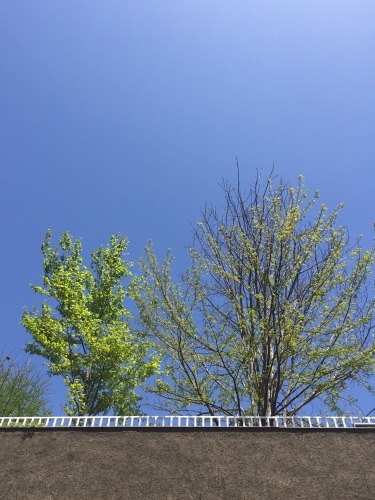 6月パン作り体験教室のお知らせ_a0134394_17410231.jpg