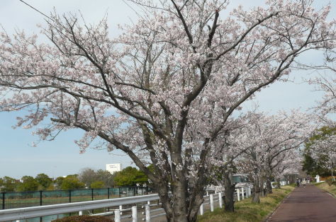 2017年5月15日　ゴールデンウィーク家族で食事　　その7_d0249595_17313627.jpg