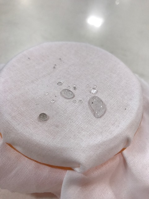 梅雨の前にプロテクターアルファおさらい編_d0166598_11023808.jpg