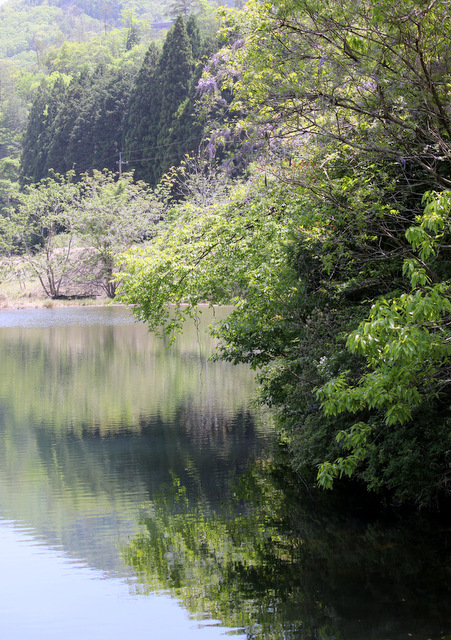 湖畔にて_a0260500_13215606.jpg