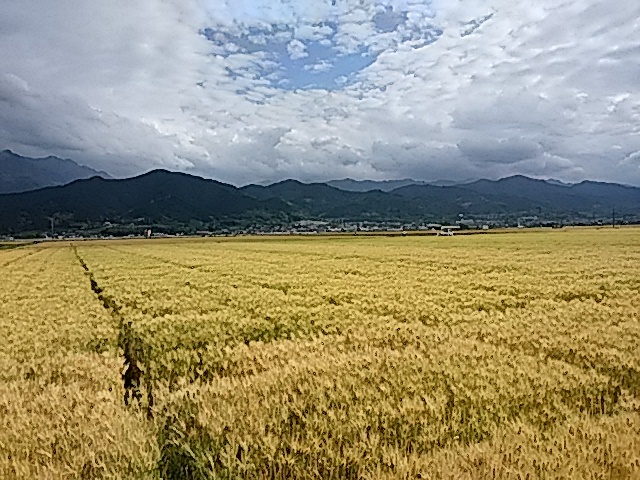 f0231709_00164193.jpg
