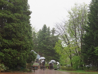 f0325309_15512723.jpg