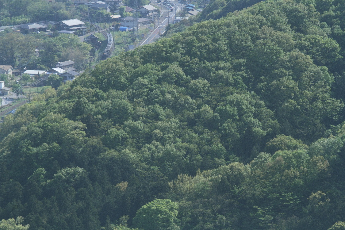 新緑の向こう側 - 2017年春・秩父 -_b0190710_22541764.jpg