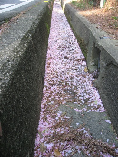 c0062511_21363721.jpg