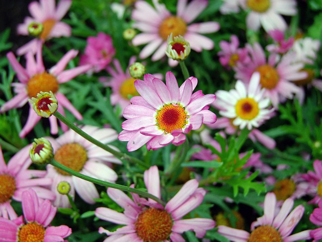 e0364312_02120669.jpg