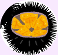 a0115924_21445432.png