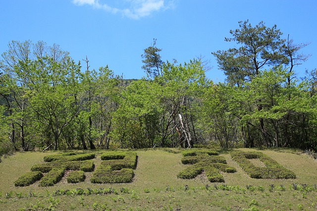 紀和町のフジの花風景（撮影：４月２８日）_e0321325_11504416.jpg