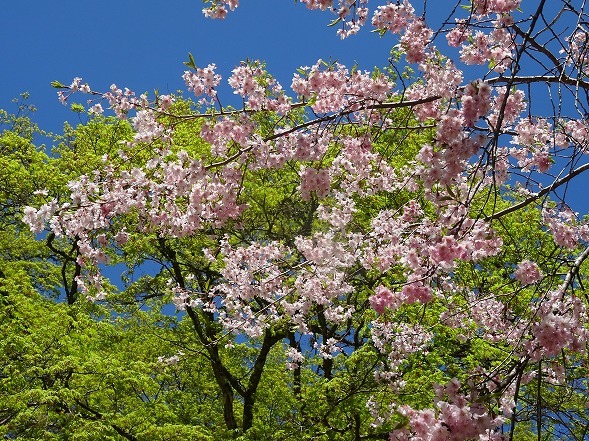 b0299042_15231567.jpg