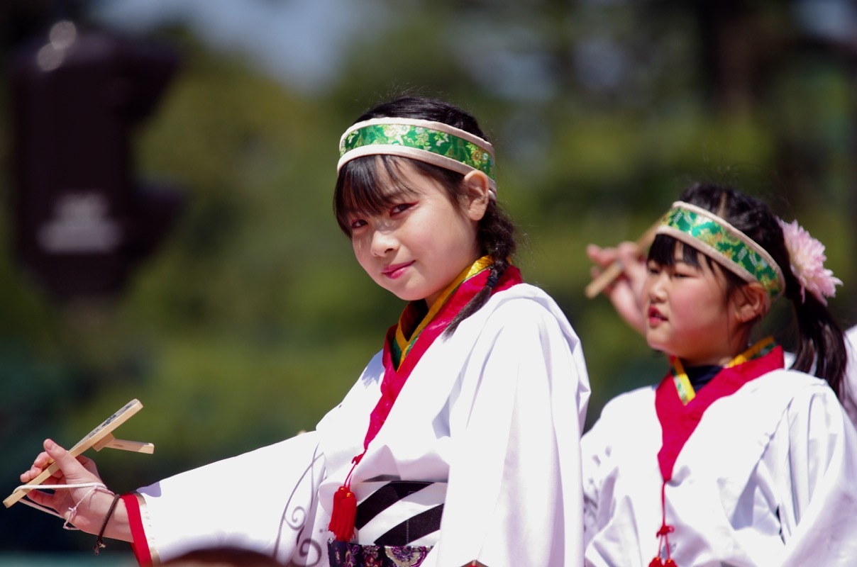 ２０１７京都さくらよさこい2日目その５（京都山城みつば家）_a0009554_00085180.jpg