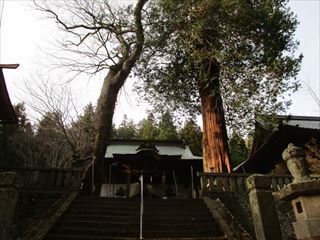 長野県佐久市の総社　新海三社神社にて☆☆☆_d0045362_10142535.jpg