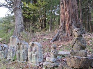 長野県佐久市の総社　新海三社神社にて☆☆☆_d0045362_10155276.jpg