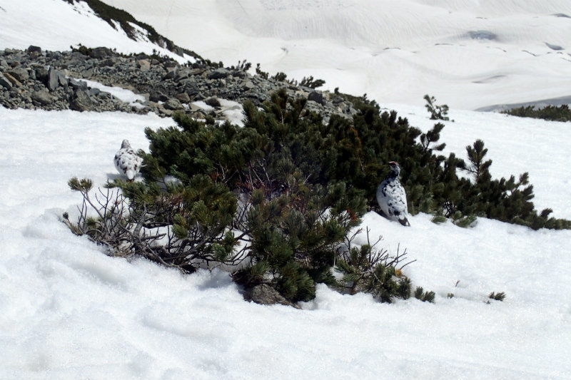 d0110562_23371674.jpg