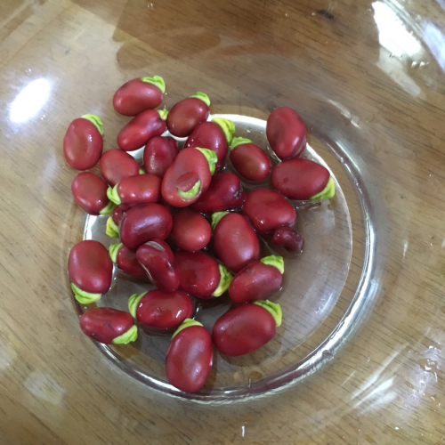 一寸黒豆でお赤飯のような赤いご飯_e0136066_09334225.jpg