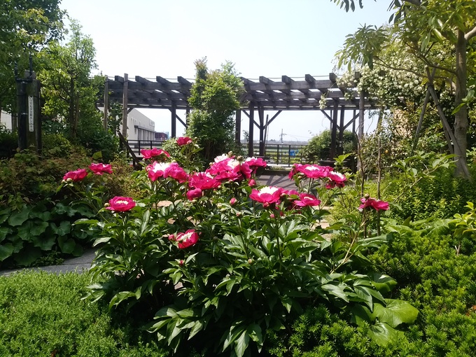 b0194267_22414660.jpg