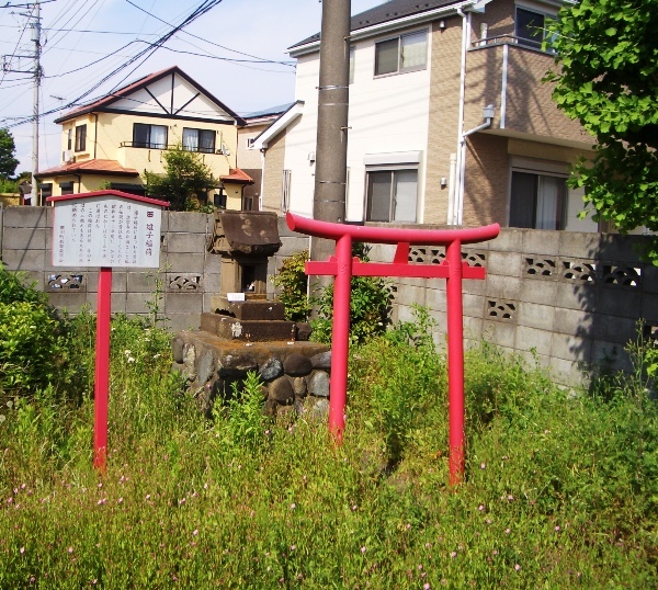 自転車で走ろう寒川(その１：…寒川神社…念宗寺…岡田遺跡…)_d0239667_20395614.jpg